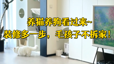 养猫养狗看过来！装修时多想一步，毛孩子不拆家 ！~